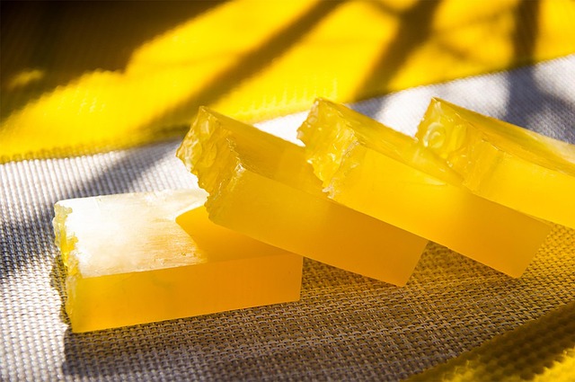 Bio-shroom Rejuvenating Serum